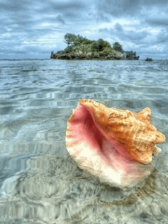 animaciya 240 320 Ocean 9023.gif